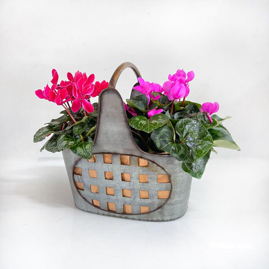 זוג עציצם בסל פח וינטאג&rsquo; מעוצב  