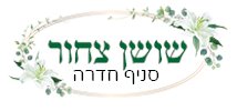 נסיון